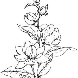 Meet your Posher, Autumn